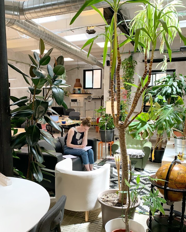 Plants In Office: Why It Is Important to Choose a Coworking Space with Plants in Barcelona